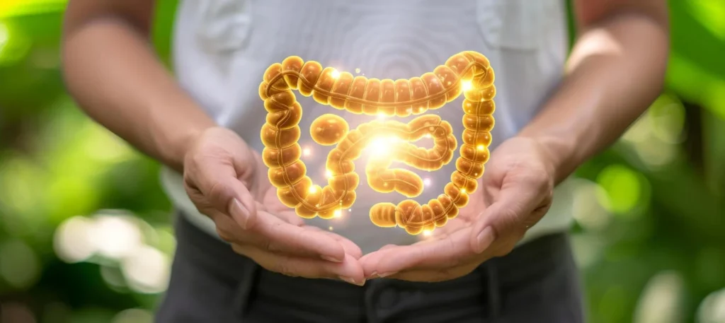 Ayurvedic gastrointestinal treatment at Elarehab in Kerala promoting gut health and digestive wellness through holistic therapies